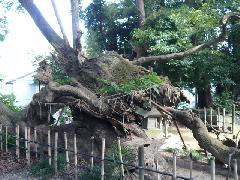 草薙神社