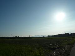 田んぼの細道