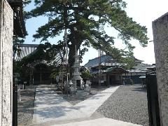 大慶寺