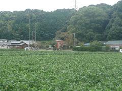 山中八幡宮
