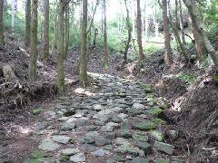 箱根峠